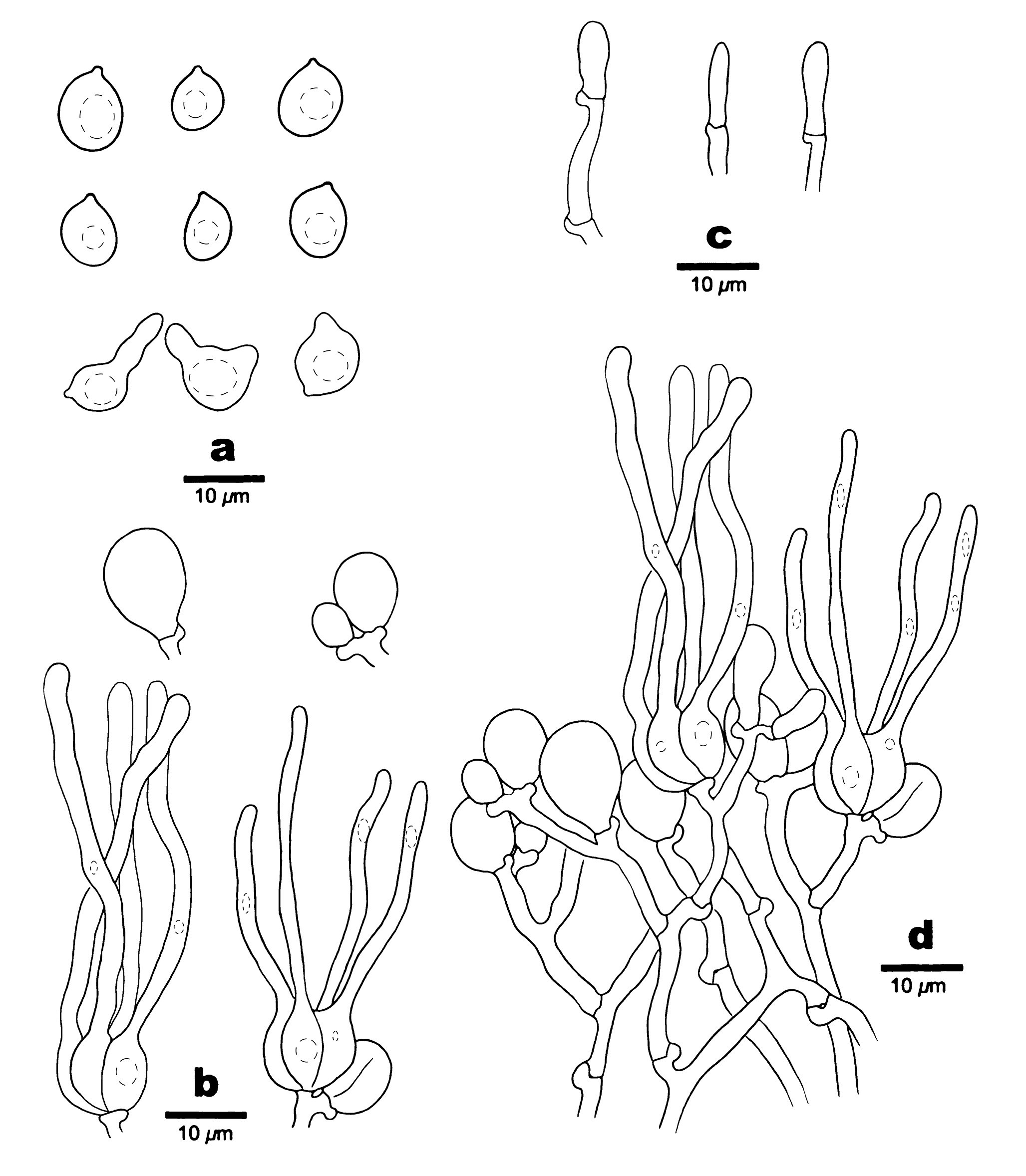 Figure 57